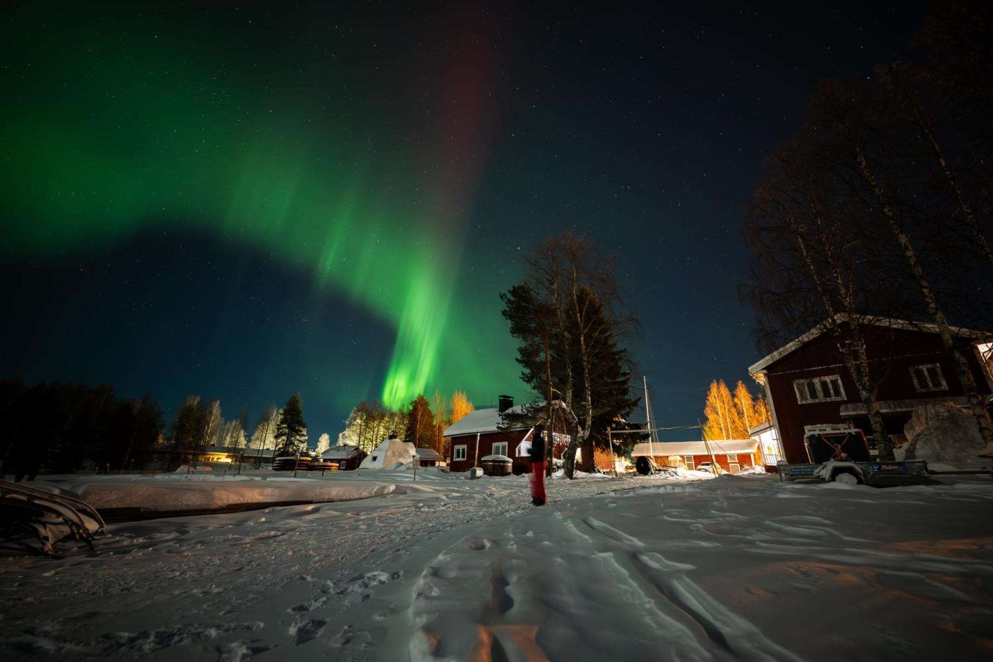 Arctic Guesthouse & Igloos รานูอา ภายนอก รูปภาพ