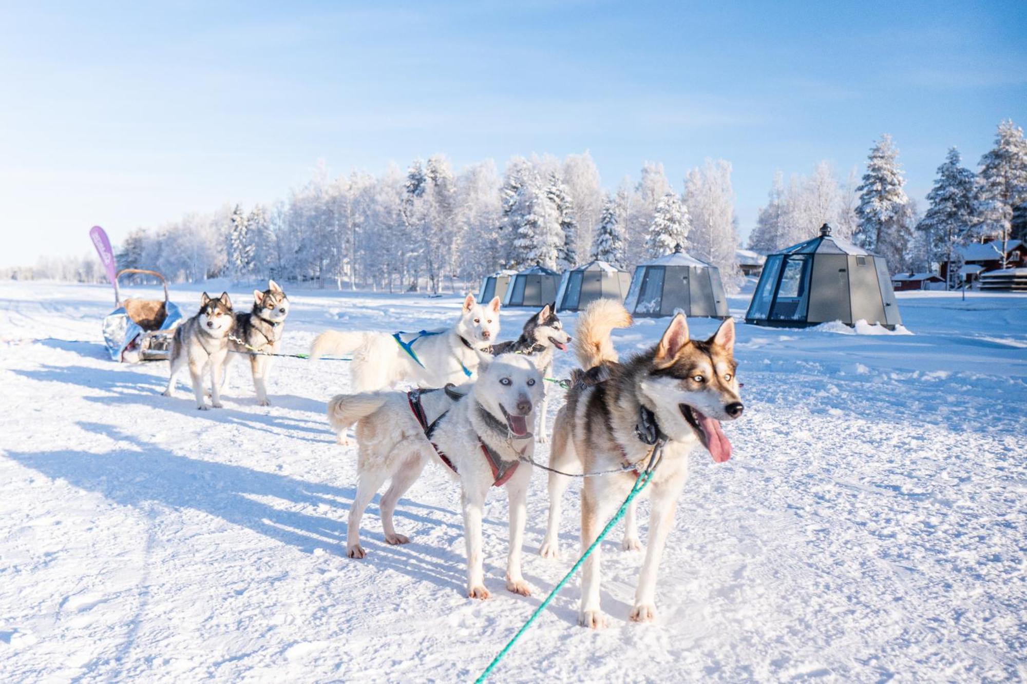 Arctic Guesthouse & Igloos รานูอา ภายนอก รูปภาพ